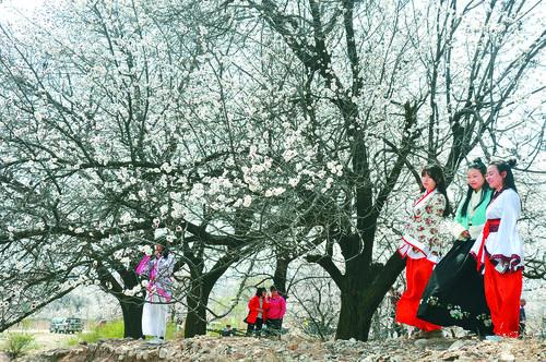 意昂4招商数据系统